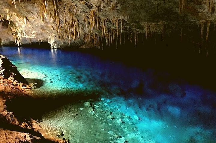 bonito ms